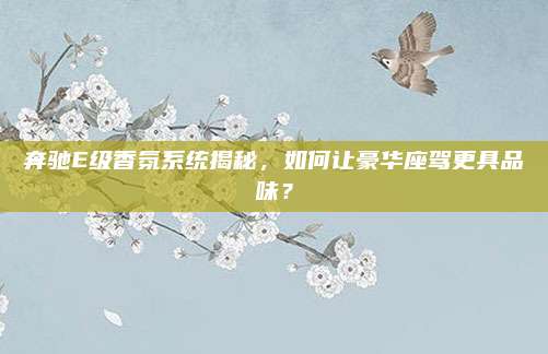 奔驰E级香氛系统揭秘，如何让豪华座驾更具品味？
