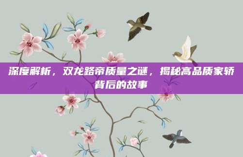 深度解析,双龙路帝质量之谜,揭秘高品质家轿背后的故事