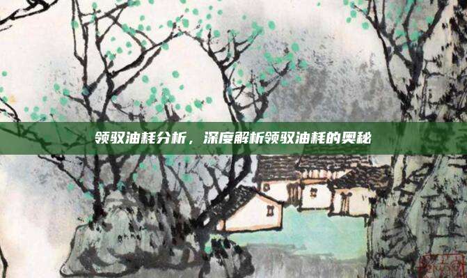 领驭油耗分析,深度解析领驭油耗的奥秘