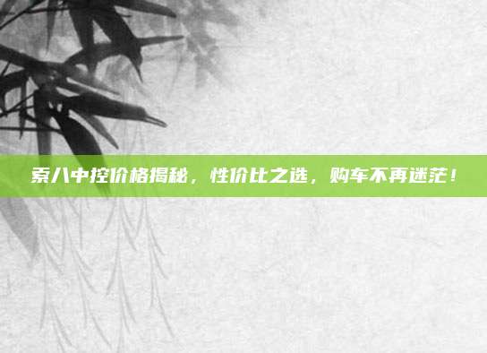 索八中控价格揭秘,性价比之选,购车不再迷茫!