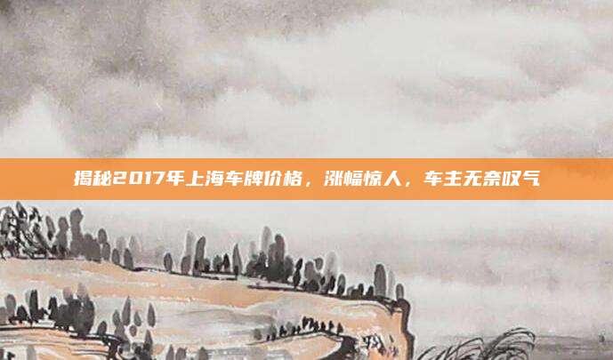 揭秘2017年上海车牌价格,涨幅惊人,车主无奈叹气