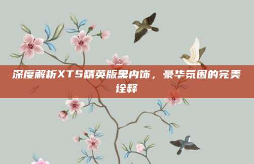 深度解析XTS精英版黑内饰，豪华氛围的完美诠释
