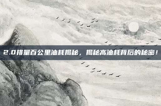 2.0排量百公里油耗揭秘,揭秘高油耗背后的秘密!
