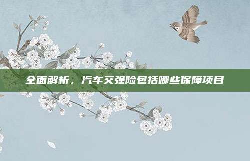 全面解析,汽车交强险包括哪些保障项目
