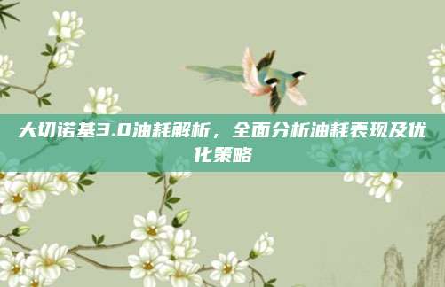 大切诺基3.0油耗解析,全面分析油耗表现及优化策略