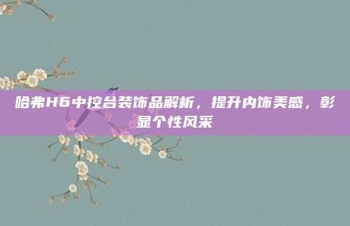哈弗H6中控台装饰品解析,提升内饰美感,彰显个性风采