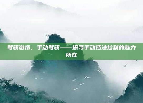 驾驭激情,手动驾驭——探寻手动挡法拉利的魅力所在