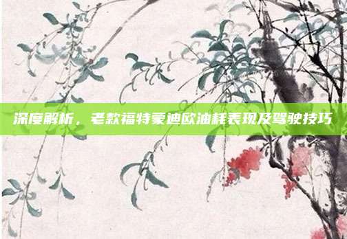 深度解析,老款福特蒙迪欧油耗表现及驾驶技巧