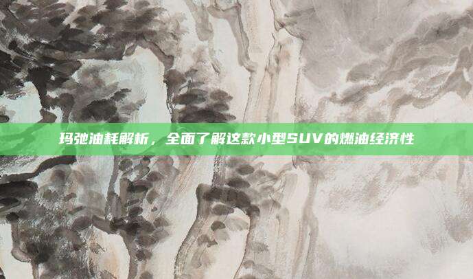 玛弛油耗解析，全面了解这款小型SUV的燃油经济性