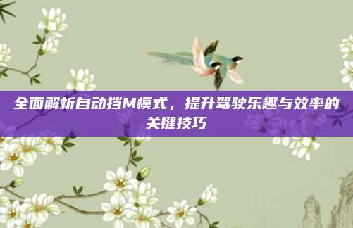 全面解析自动挡M模式，提升驾驶乐趣与效率的关键技巧