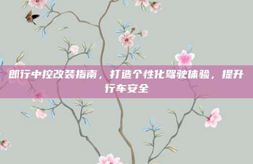 郎行中控改装指南,打造个性化驾驶体验,提升行车安全
