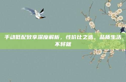 手动低配致享深度解析,性价比之选,品质生活不将就