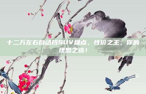 十二万左右自动挡SUV盘点,性价之王,你的理想之选!