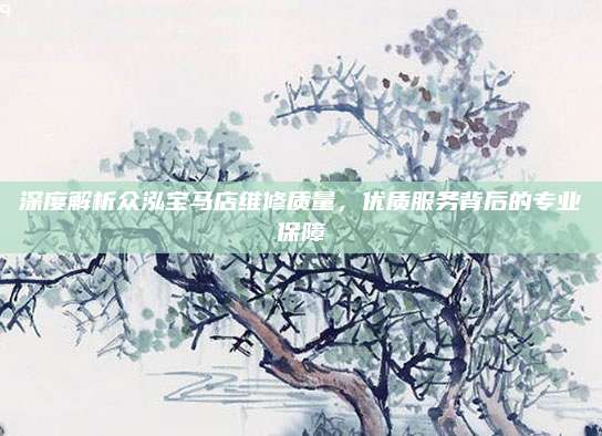 深度解析众泓宝马店维修质量，优质服务背后的专业保障