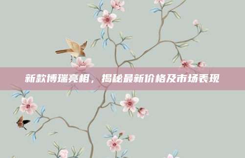 新款博瑞亮相,揭秘最新价格及市场表现