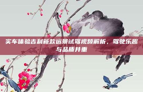 实车体验吉利新款远景试驾视频解析,驾驶乐趣与品质并重