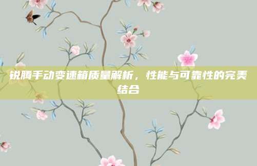 锐腾手动变速箱质量解析,性能与可靠性的完美结合
