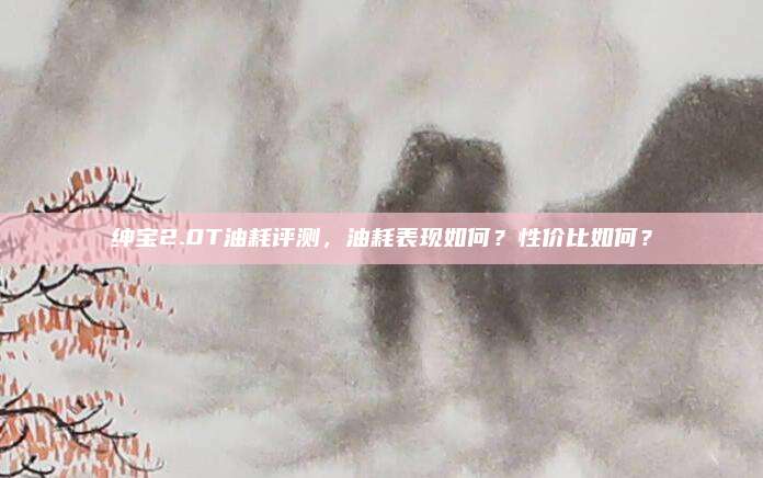 绅宝2.0T油耗评测,油耗表现如何?性价比如何?