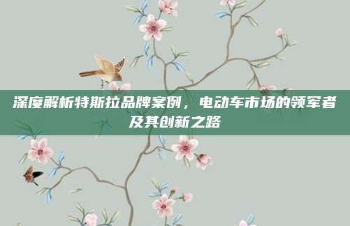 深度解析特斯拉品牌案例,电动车市场的领军者及其创新之路