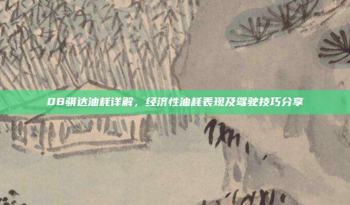 08骐达油耗详解,经济性油耗表现及驾驶技巧分享