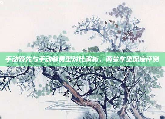 手动领先与手动尊贵型对比解析,两款车型深度评测