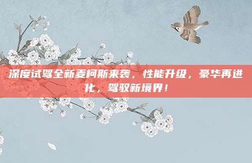 深度试驾全新麦柯斯来袭,性能升级,豪华再进化,驾驭新境界!