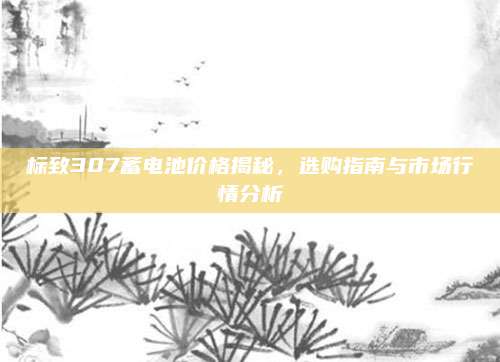 标致307蓄电池价格揭秘，选购指南与市场行情分析