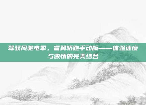 驾驭风驰电掣,睿翼轿跑手动版——体验速度与激情的完美结合