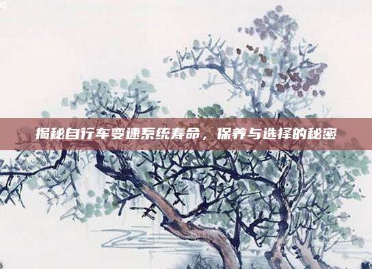 揭秘自行车变速系统寿命,保养与选择的秘密