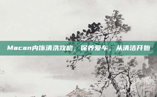 Macan内饰清洗攻略,保养爱车,从清洁开始