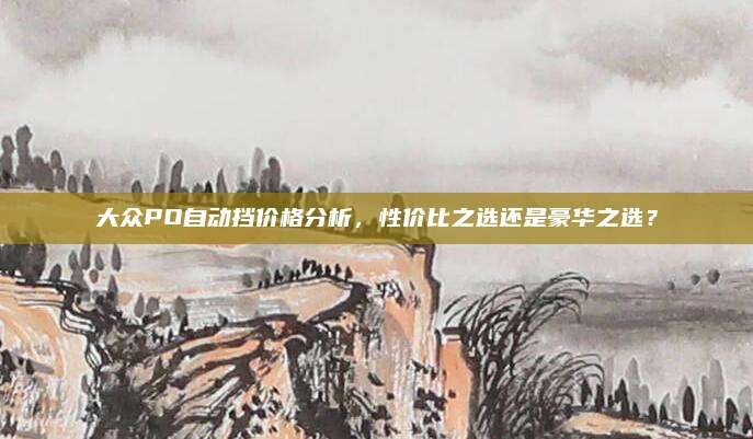 大众PO自动挡价格分析,性价比之选还是豪华之选?