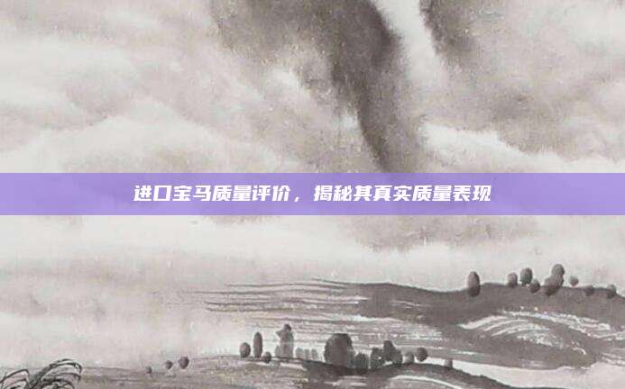 进口宝马质量评价,揭秘其真实质量表现