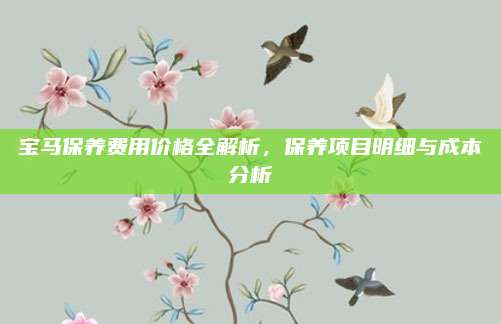 宝马保养费用价格全解析,保养项目明细与成本分析