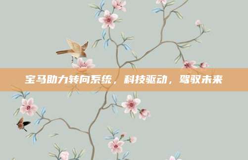 宝马助力转向系统,科技驱动,驾驭未来