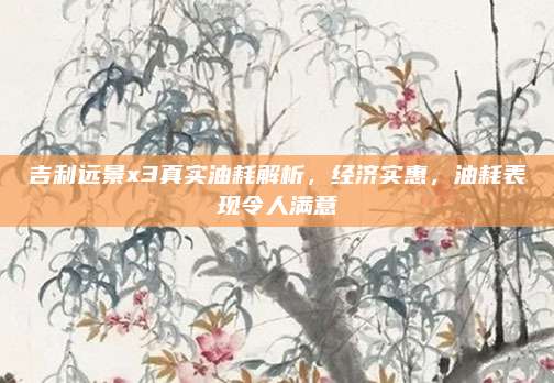 吉利远景x3真实油耗解析,经济实惠,油耗表现令人满意