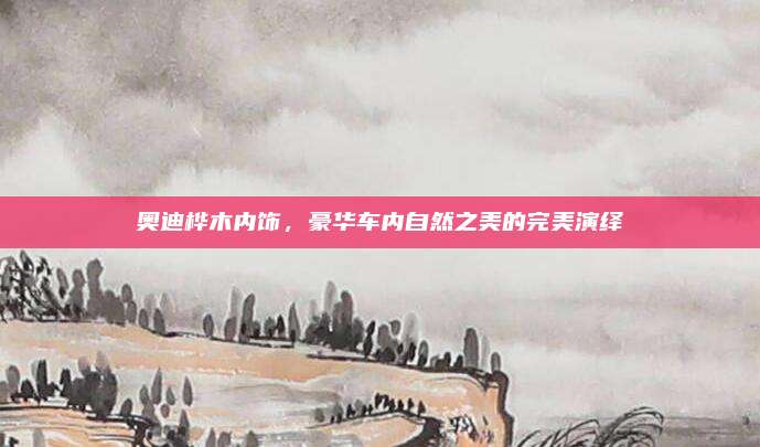 奥迪桦木内饰,豪华车内自然之美的完美演绎