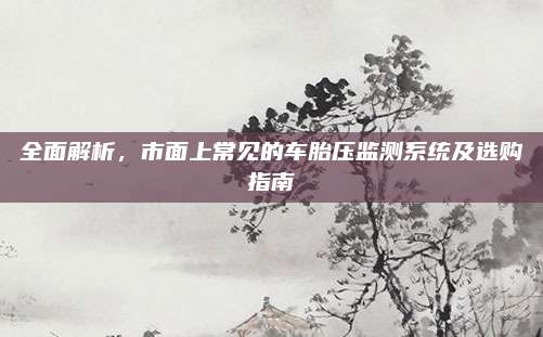 全面解析,市面上常见的车胎压监测系统及选购指南