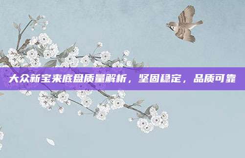 大众新宝来底盘质量解析，坚固稳定，品质可靠