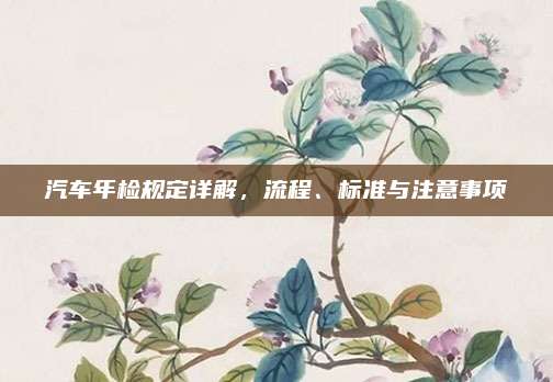 汽车年检规定详解,流程、标准与注意事项
