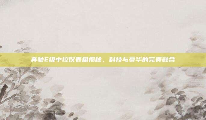 奔驰E级中控仪表盘揭秘,科技与豪华的完美融合