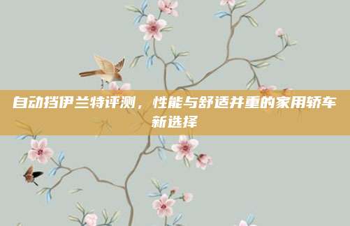 自动挡伊兰特评测，性能与舒适并重的家用轿车新选择