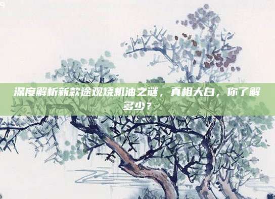 深度解析新款途观烧机油之谜,真相大白,你了解多少?