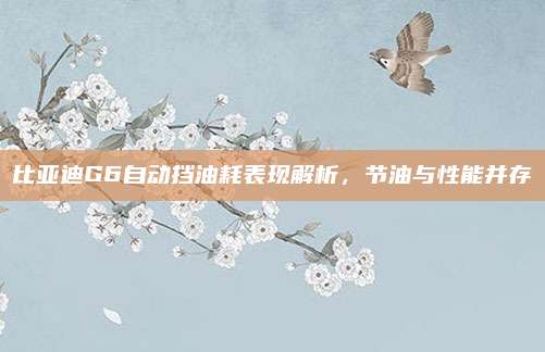 比亚迪G6自动挡油耗表现解析，节油与性能并存