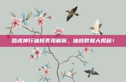 路虎神行油耗表现解析，油耗数据大揭秘！