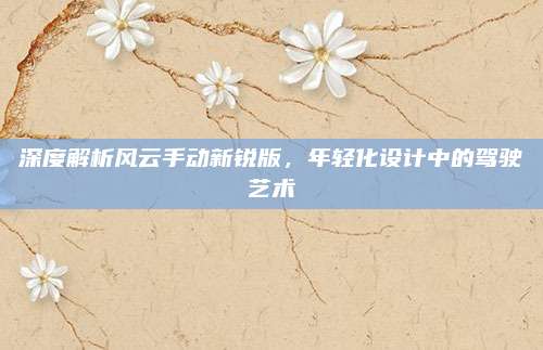 深度解析风云手动新锐版,年轻化设计中的驾驶艺术