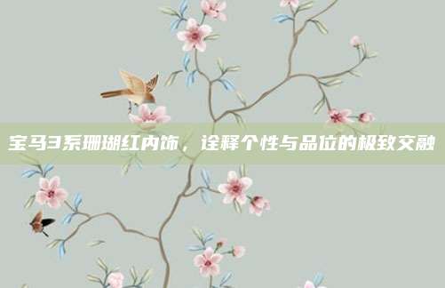 宝马3系珊瑚红内饰,诠释个性与品位的极致交融