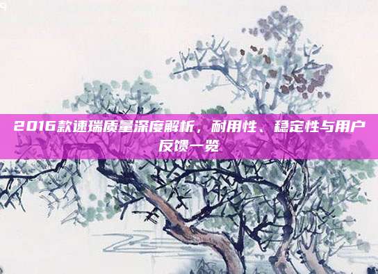 2016款速瑞质量深度解析,耐用性、稳定性与用户反馈一览