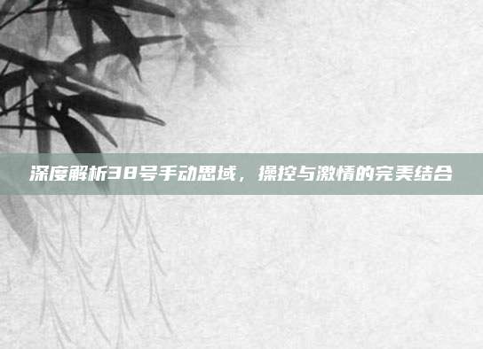 深度解析38号手动思域，操控与激情的完美结合