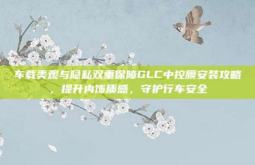 车载美观与隐私双重保障GLC中控膜安装攻略,提升内饰质感,守护行车安全