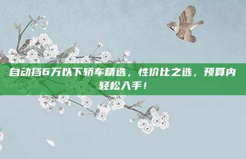 自动挡6万以下轿车精选,性价比之选,预算内轻松入手!